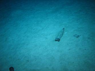 Unexploded shell - possibly 4-inch